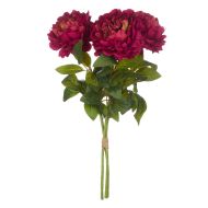 Rogue Peony Stem Bunch Burgundy 73x32x24xcm