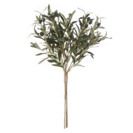 Rogue Olive Spray Bunch Green 48x48x72cm