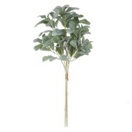 Rogue Lambs Ear Spray Bunch Green 32x32x71cm