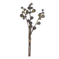 Rogue Wild Fig Spray Bunch Purple 26x26x50cm