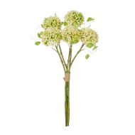 Rogue Sedum Stem Bunch Cream 30x30x51cm