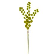 Rogue Mini Milk Weed Stem Bunch Green 23x23x80cm