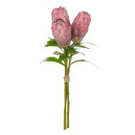 Rogue Protea Stem Bunch Burgundy 28x28x61cm