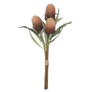 Rogue Banksia Cone Stem Bunch Brown 19x19x61cm