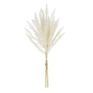 Rogue Pampas Spray Bunch Cream 26x26x77cm