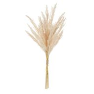 Rogue Pampas Spray Bunch Beige 26x26x77cm