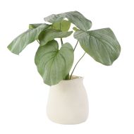 Rogue Hosta-Malia Pot Green 54x40x57cm