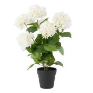 Rogue Hydrangea Plant-Garden Pot White 39x40x59cm