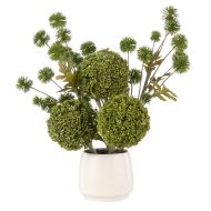 Rogue Allium Pompom Mix-Gianna Pot Green 36x33x43cm