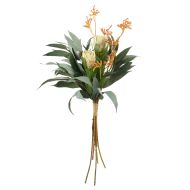 Rogue Pitaya Native Mix Bouquet Green 30x30x80cm