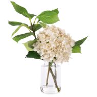 Rogue Hydrangea Vivid Leaf - Pauline Vase Cream 43x40x47cm