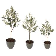 Rogue Olive Tree - Milan Planter 3pcs Set Green