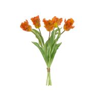 Rogue Parrot Tulip Bunch Orange 21x21x48cm