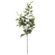 Rogue Ficus Leaf Spray Green 41x20x10cm