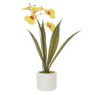 Rogue Dancing Orchid Pot Mustard Yellow 20x22x30cm