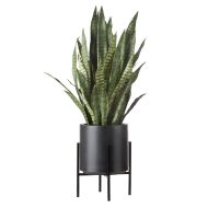 Rogue Sansevieria Plant Stand Green 46x46x92cm