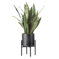 Rogue Sansevieria Plant Stand Green 43x43x85cm