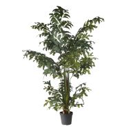 Rogue Caryota Palm Tree Green 140x140x220cm