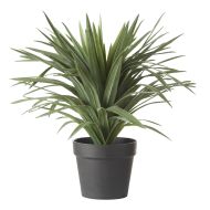 Rogue Sisal Plant UV Green 40x40x48cm