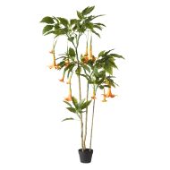 Rogue Datura Tree Orange 70x70x180cm