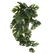 Rogue Monstera Hanging Bush Green 61x23x10cm