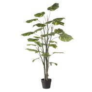 Rogue Pothos Tree Green 43x43x120cm