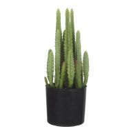 Rogue Fairy Castle Cactus Green 12.7x12.7x35cm