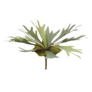 Rogue Staghorn Fern Moss Green 35x35x33cm