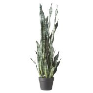 Rogue Sansevieria-Garden Pot Green 32x25x91cm