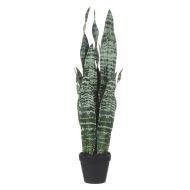 Rogue Sansevieria Green 26x26x65cm