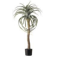 Rogue Aloe Tree Green 107x64x64cm