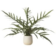 Rogue Blue Star Fern Pot Green 46x26x26cm