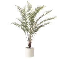 Rogue Fern Pot Green 133x79x79cm