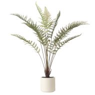 Rogue Fern Pot Green 102x69x69cm