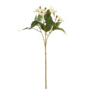 Rogue Eucalyptus Flower Spray White 31x22x62cm