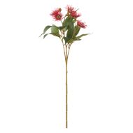 Rogue Eucalyptus Flower Spray Red 31x22x62cm