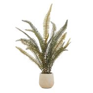 Rogue Boston Fern Pot Green 23x23x46cm