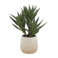 Rogue Aloe 3 Heads Pot Green 23x23x33cm