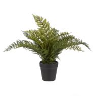 Rogue Leatherleaf Fern Green 28x28x33cm