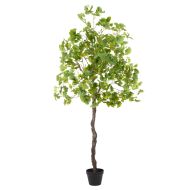 Rogue Ginkgo Tree Green 89x89x173cm