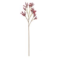 Rogue Kangaroo Paw Spray Red 23x18x77cm