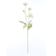 Rogue Poppy Spray Cream 60x8x12cm