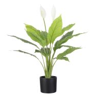 Rogue Peace Lily Green 40x40x78cm