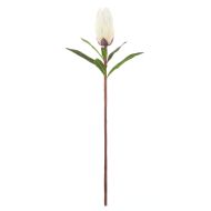 Rogue Protea Stem White 18x18x61cm