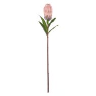 Rogue Protea Stem Pink 18x18x61cm