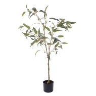 Rogue Eucalyptus Gumnut Tree - Garden Pot Green 15x13x120cm