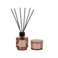 Academy Redwood Fragrance Set 100ml/90g Plum 12x8x23cm