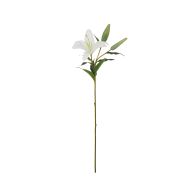 Rogue Casablanca Lily White 18x24x80cm