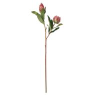 Rogue Protea Stem Pink 73x13x6cm