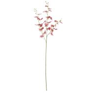 Rogue Dancing Orchid Burgundy 98cm